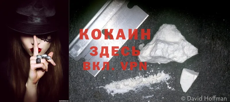 даркнет какой сайт  Короча  Cocaine Fish Scale  хочу  